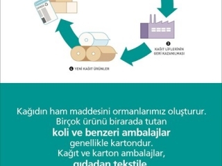 kagit-karton-geri-kazanimi.jpg